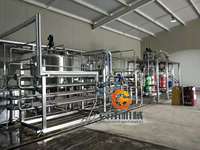 Turn-Key Oplossing Concentraat Drank Mangopulp Machine Passievrucht Ananas Pulp Druivensap Huisdier Vulmachines