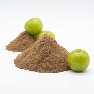 Poudre de fruits Amla Pure et naturelle, de ml, du style indien - Product Image 1