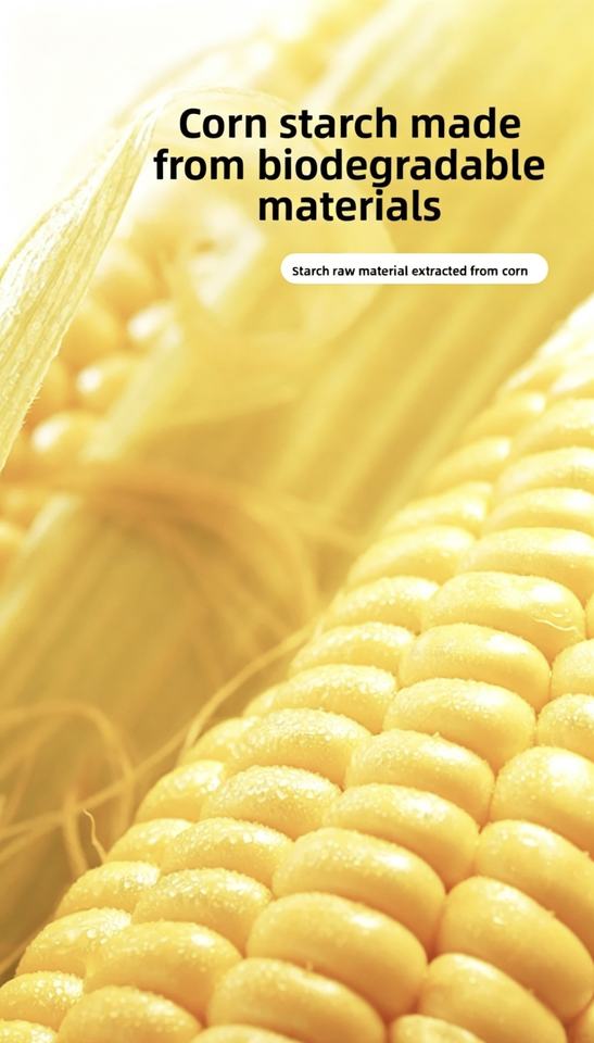 350ml Eco-Friendly Corn Starch Lunch Box Biodegradable Disposable Food ...