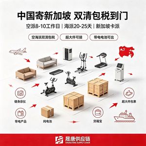 Línea Express del Sudeste Asiático, Singapur DDP, Transporte Aéreo y Marítimo, Despacho de Aduanas Doble, Impuestos Incluidos, Entrega a Domicilio - Product Image 5