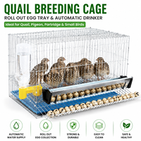 Cage d'élevage de poulets Rutin, petite cage à œufs roulante pour cailles, oiseaux, perdrix, pigeons, perroquets, avec plateau à œufs