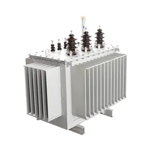 Kualitas penjualan paling laris 30 ~ 1000kVA transformator distribusi terbenam minyak