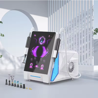 Appareil de beauté portable à plasma froid OEM/ODM pour le nettoyage du visage, avec dermaroller et jet chaud/froid