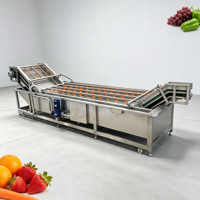 Industriële luchtbel fruit- en groentewasmachine voor aardappel, gember, landbouwbedrijven, diepgaande verwerking en reiniging