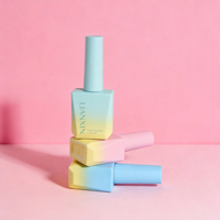 Vente en gros de flacons de vernis à ongles en verre dégradé de 13 ml, avec logo personnalisé, bouchon en plastique remplaçable et plusieurs embouts de pinceaux à ongles