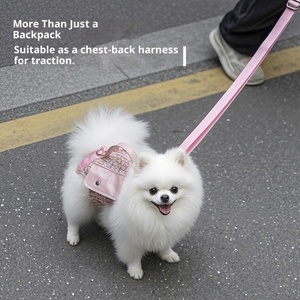 Ransel anjing jala gaya ramah lingkungan kancing penutup persegi poliester antilembap untuk anjing kecil-luar ruangan traksi portabel - Product Image 1