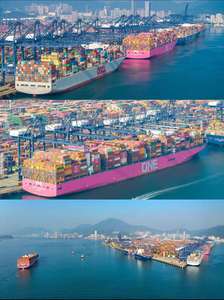 Transporte marítimo <span class=keywords><strong>DDP</strong></span> puerta a puerta desde <span class=keywords><strong>China</strong></span> a Portugal, Finlandia, Suecia, Hungría, Letonia: Un agente de carga marítimo fiable - Product Image 2