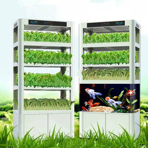 Ménage Planteur Armoire Shell Plantes Cultiver <span class=keywords><strong>Lampe</strong></span> Hydroponique Légumes Fleurs Plantation Aquaponique Vertical Agriculture - Product Image 6