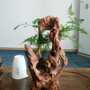 Bois flotté poreux, racine d'arbre, décoration d'aquarium, bois flotté naturel pour aquarium - Product Image 5