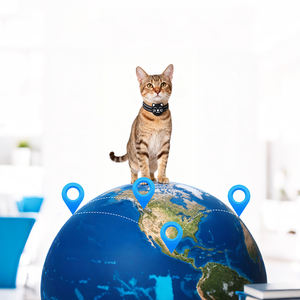 Localizador Inteligente Impermeable y Reflectante Antipérdida, Rastreador <span class=keywords><strong>GPS</strong></span> para Mascotas, <span class=keywords><strong>Collar</strong></span> para Gatos, Compatible con Apple IOS - Product Image 4