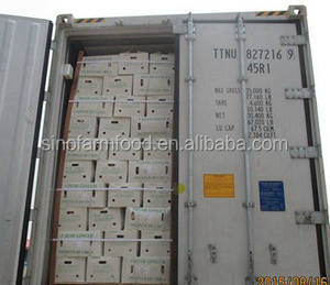 中国新鲜生姜供应商提供优质新作物生姜和风干生姜 - Product Image 6