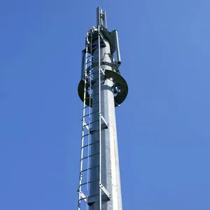XINTONG เสาอากาศสื่อสารด้วยตนเองสนับสนุนเสาหอคอย30เมตร Monopole Tower