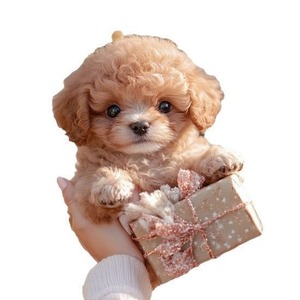 Jouet de chiot en peluche courte électrique, <span class=keywords><strong>chien</strong></span> qui marche, cadeau d'anniversaire pour les nourrissons de 0 à 3 ans, 31-50 cm, emballage en boîte de couleur - Product Image 5