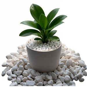 <span class=keywords><strong>Gravier</strong></span> <span class=keywords><strong>blanc</strong></span> naturel de qualité supérieure, lisse et décoratif, pour aménagement paysager de jardin, patio, allée - Product Image 5