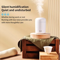 Harga Terbaik Humidifier Diffuser Ultrasonik USB Baterai Elektrik Kontrol Sentuh LED Berubah Warna 300ml 1 Tahun Outdoor