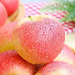 Shaanxi Gala <strong>Apple</strong> Fresh Fruit <strong>Candy</strong> Heart <strong>Red</strong> Fuji Sweet Taste Whole Box Wholesale with Postage Included - Product Image 1