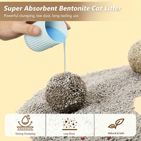 Litière pour chat en argile minérale naturelle à absorption rapide, qualité durable, bentonite, facile à nettoyer et sans poussière