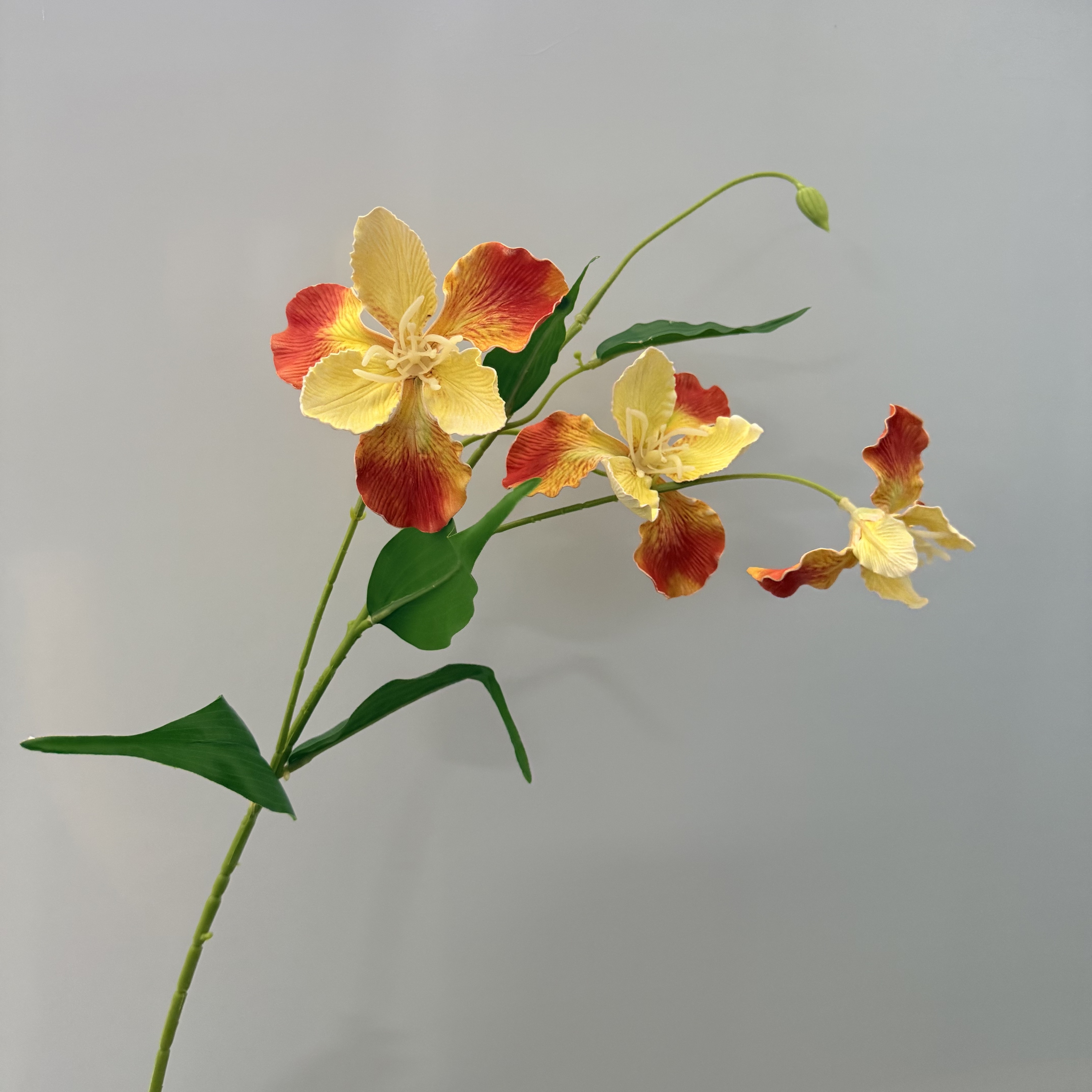 Orange/Jaune