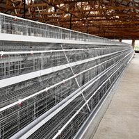 Cage automatique à 3 niveaux pour poulets en acier galvanisé, capacité de 120 oiseaux, système de collecte des œufs pour élevage avicole commercial