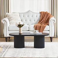 Petite table basse cannelée style farmhouse, moderne du milieu du siècle, bohème, en panneaux de particules avec rangement FANYIGE Z0476 pour salon