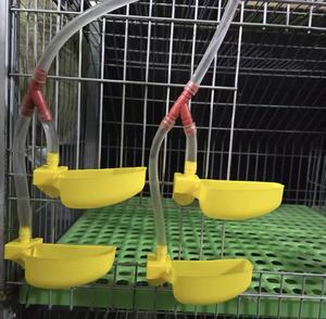 Hot Bán Tự Động Vàng Nhựa Cốc Nước Uống Cho Gà Chim Cút Chim Bồ Câu Chim Trang Trại Công Cụ Nước - Product Image 6