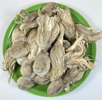 Friandises lyophilisées de calmar Paitei en gros pour chats et chiens - Riches en protéines, sans céréales