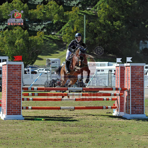 Box Design <strong>Show</strong> <strong>Jump</strong> Wing <strong>Jump</strong> Fence <strong>Aluminum</strong> Wooden Horse <strong>Jumps</strong> - Product Image 3