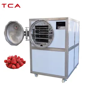 TCA vacuum apple powder ginger apple grapes eye pet food freeze drying machine