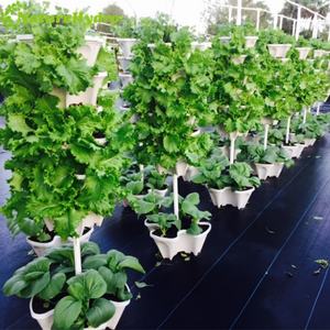 Pots à fraises en plastique empilables pour l'agriculture verticale - Product Image 2