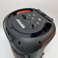 Enceinte portable PA avec woofer 12 pouces, chariot, karaoké, Bluetooth/USB/FM/TWS, micro sans fil et télécommande, LED rechargeable