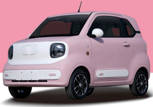 โรงงานจีนจำหน่ายรถยนต์ไฟฟ้า 4 ล้อ ได้รับการรับรองมาตรฐาน EEC เป็นมิตรกับสิ่งแวดล้อม พร้อมจำหน่าย - Product Image 6