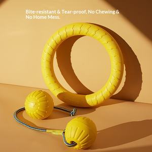 Giocattolo per Cani Interattivo in EVA Galleggiante con Corda e Palla, Resistente ai Morsi, Anello da Trazione Molare, Giocattoli da Mordere per Cani all'Ingrosso - Product Image 5