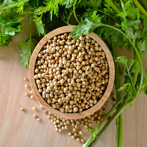 Coriandre entière indienne fraîche de première qualité, nouvelle saison, naturellement aromatique, graines d'épices, FitTree International, crue, durée de conservation de 12 mois - Product Image 1