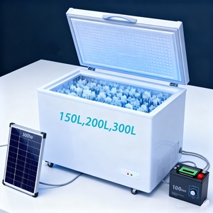 300L Off-Grid Solar <b>Freezer</b> Battery Backup Energy-Saving Eco-Friendly Refrigerator Sliding Door Hotel Commercial Household Use - Product Image 2