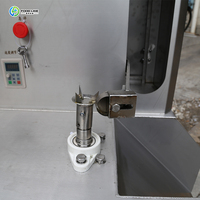 Machine industrielle à peler les pastèques pour le traitement de fruits à grande échelle avec un fonctionnement silencieux et stable