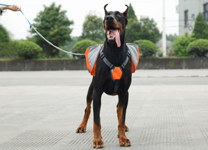 Tali anjing ritsleting kartun baru untuk anak-anak tutup luar ruangan berkelanjutan Hiking petualangan ransel pengekang hewan peliharaan - Product Image 3