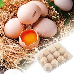 Caja de cartón de huevos personalizada con cartón de huevos de ganso en India