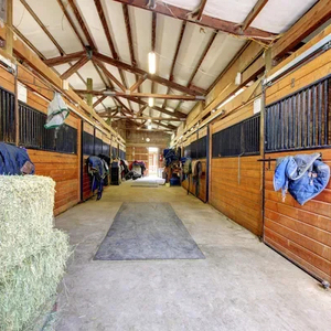 घोड़े के लिए स्थिर गलीचा कंबल, घोड़े के लिए स्थिर स्टाल दरवाजा, आधुनिक घोड़े के लिए स्थिर - Product Image 1