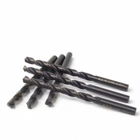 Foret hélicoïdal HSS au cobalt haute vitesse SU'S M35, queue de 10 mm, oxyde noir, cannelure entièrement rectifiée, pour perçage de métaux, OEM Taiwan Premium
