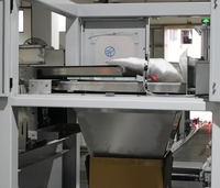 Ligne d'emballage et de palettisation automatique de sachets dans des cartons – Machine d'emballage de cartons à dépose de sachets – Emballeuse de cartons à dépose de sachets