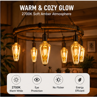 Ampoules halogènes Edison dimmables E27 E14 ST64 G80 G125 T45, lampes tubulaires globe, AC 220V, lumière ambrée chaude pour l'éclairage de lustres de café