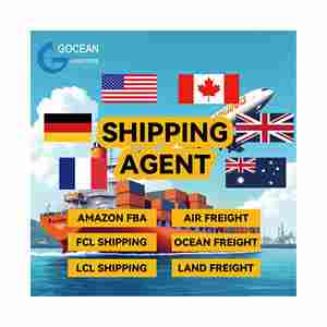 Logística de Amazon FBA a EE. UU. CANADÁ con embalaje DDP y gestión de inventario - Product Image 1