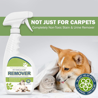 Enzyme Power Carpet Urine Pet Odeur Et Détachant Éliminateur D'odeurs Déodorant Spray Pour Chats Et Chien