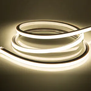 Outdoor 12V 5Meters Cob Silicone Cover Strip RGB Light LED Neon Strip