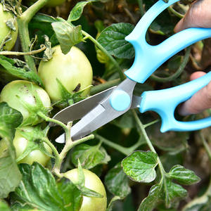 กรรไกรตัดแต่งกิ่งฮยองยอง สแตนเลสสตีล 10-20 มม. ด้ามจับแบบผีเสื้อ สำหรับตัดก้านดอกไม้ เครื่องมือทำสวน สีม่วง น้ำเงิน เขียว ชมพู - Product Image 4