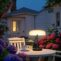 Lampe de table solaire en forme de champignon, nouveau design, pour intérieur et extérieur, lumière de jardin, batterie LiFePO4 3.2V 4000mAh, lampe de nuit portable