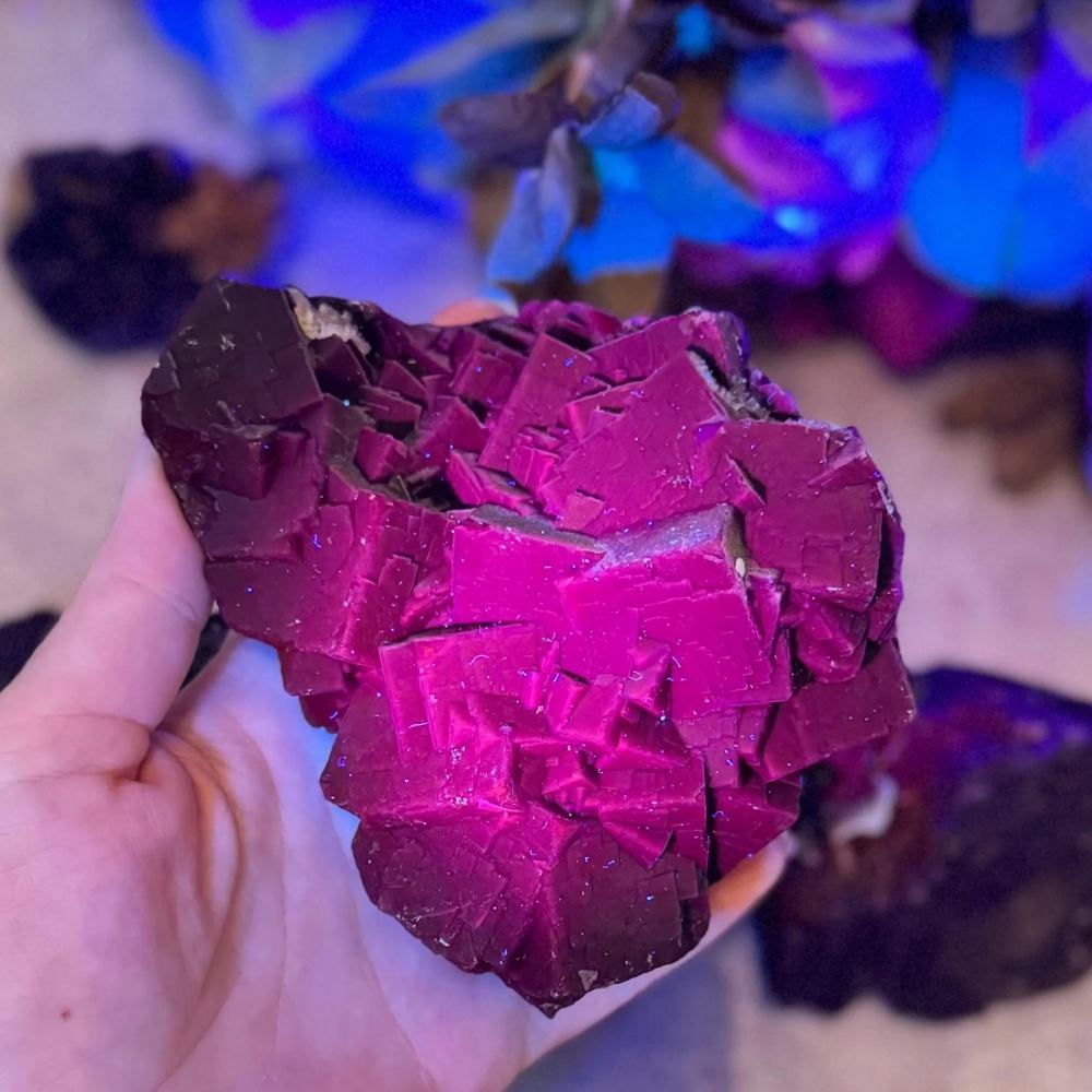 แร่ฟลูออไรต์ดอกกุหลาบแดง