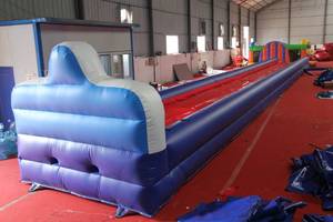 Tobogán Inflable Personalizado WINSUN, Juegos Inflables, Tobogán Seco Inflable - Product Image 4