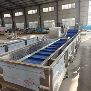 Línea de Lavado Industrial Comercial para Frutas, Lavadora de Fresas y Arándanos para Producción de Smoothies y Jugos - Product Image 5