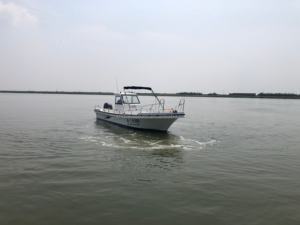 <span class=keywords><strong>Bateau</strong></span> <span class=keywords><strong>de</strong></span> pêche Grandsea neuf <span class=keywords><strong>de</strong></span> 8,5 m/28 pieds en fibre <span class=keywords><strong>de</strong></span> verre avec auvent, console centrale, <span class=keywords><strong>bateau</strong></span> rapide à vendre - Product Image 3